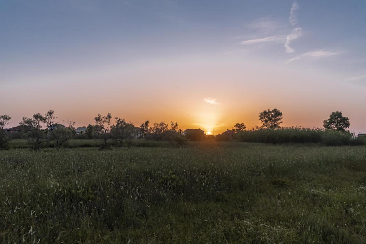Villa Rosa South Corfu Mokilas Екстериор снимка